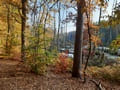 Briesetal