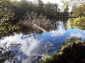 Briesesee