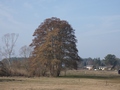 Ortsansicht Malz - an der Havel