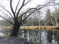 Oranienburger Kanal