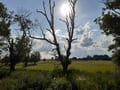 Landschaft am Bahnhof