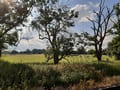 Landschaft am Bahnhof