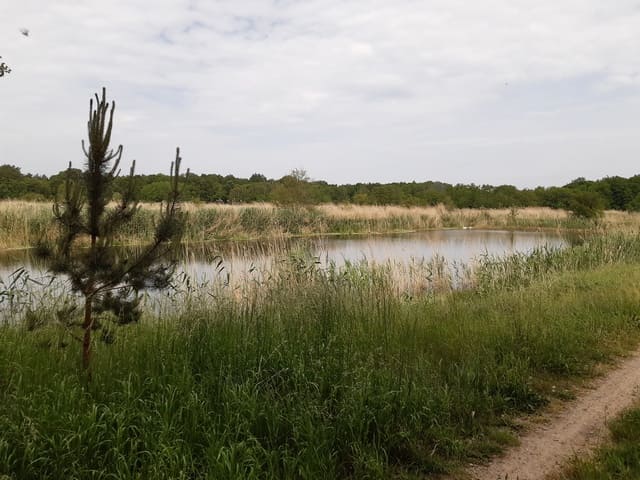 Ehemalige Rieselfelder