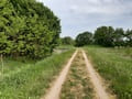 Landschaft nördlich der ehemaligen Rieselfelder