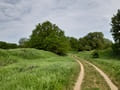 Landschaft nördlich der ehemaligen Rieselfelder