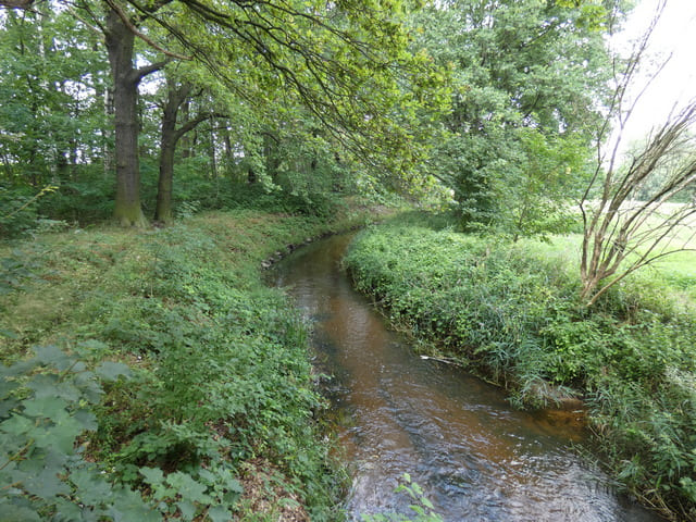 Pulsnitz