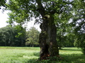 Landschaftspark Lindenau