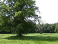 Landschaftspark Lindenau