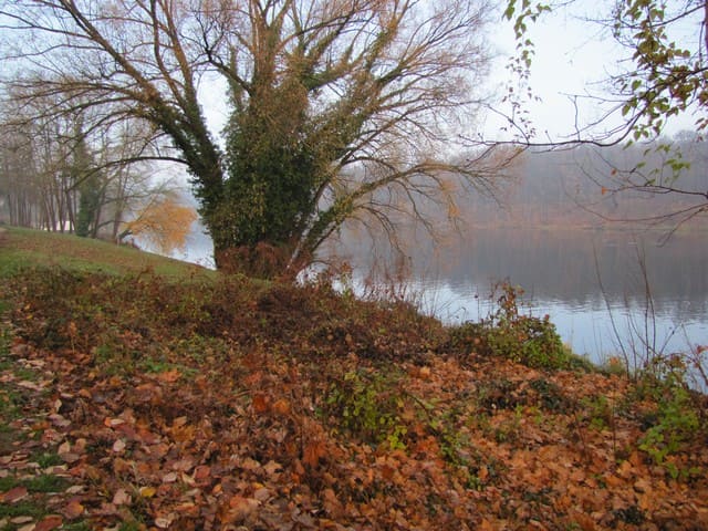 Am Griebnitzsee