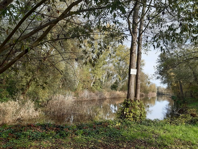 Golmer Stichkanal