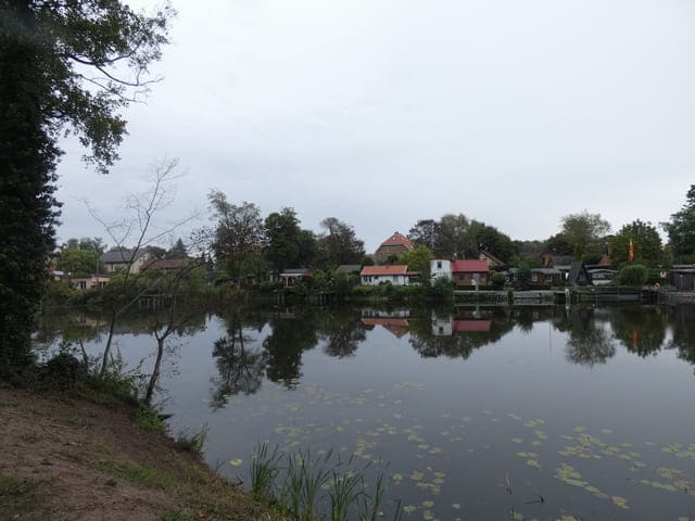 Kuhtränke