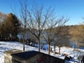 Griebnitzsee