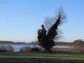 Schlosspark mit Schlänitzsee