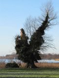 Schlossparkt mit Schlänitzsee