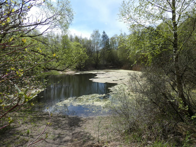 Kleiner Teich am Mühlenweg