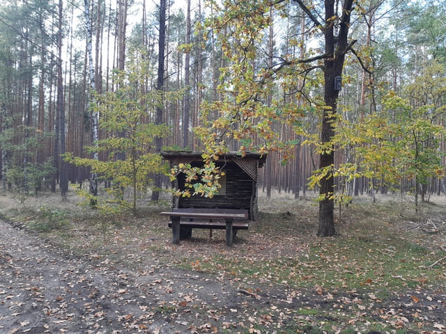 Rastplatz am Siebenbrüderweg