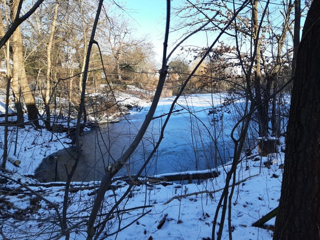Buschgraben
