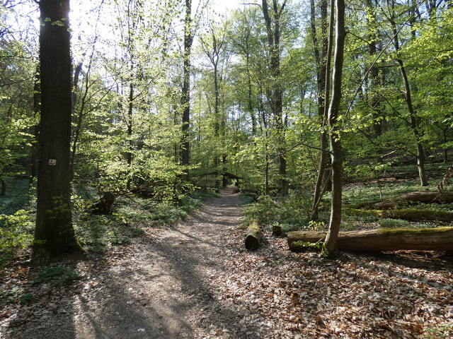 Weg von Raben zur Burg Rabenstein