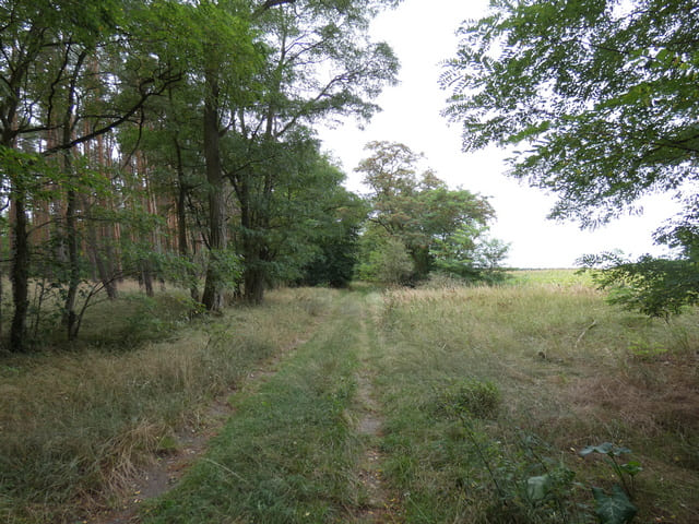 Wanderweg nach Krahne