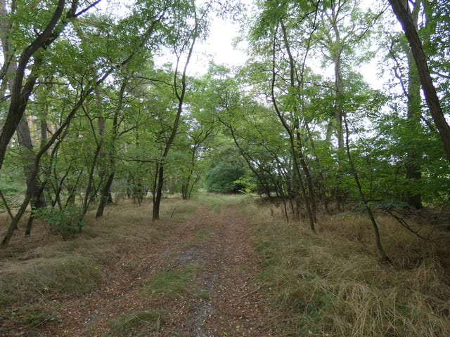 Wanderweg nach Krahne