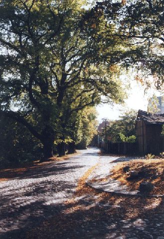 Herbst in Treuenbrietzen