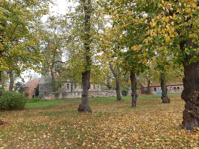 Herbst in Warchau