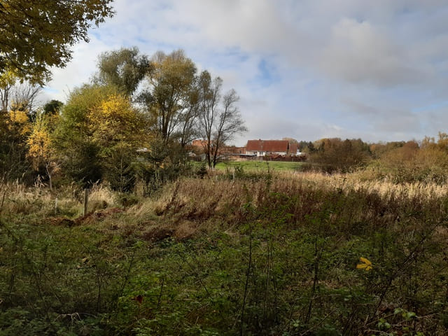 Blick auf Warchau