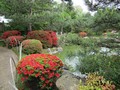 Japanischer Bonsaigarten