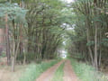 Wanderweg am Blauen Stein