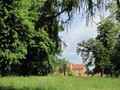 Schlosspark mit Blick zum Schloss