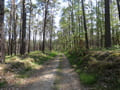 Bergmolchwanderweg bei Rädigke