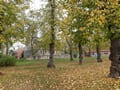 Herbst in Warchau