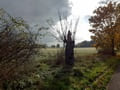 Landschaft bei Warchau