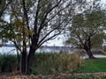 Großer Wusterwitzer See