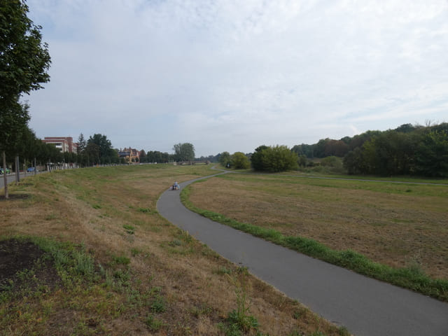 Landschaft zwischen Keglerdamm und Lausitzer Neiße