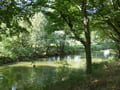 Mühlengraben an der Wehrinsel