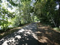 Am Wander- und Radweg vom Hüttenwerk zur Maustmühle