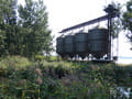 Silos am Ableiter Peitzer Teiche 2 zwischen Hälterteich und Neuendorfer Teich