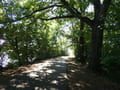 Am Wander- und Radweg vom Hüttenwerk zur Maustmühle