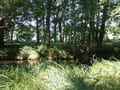 Hammergraben
