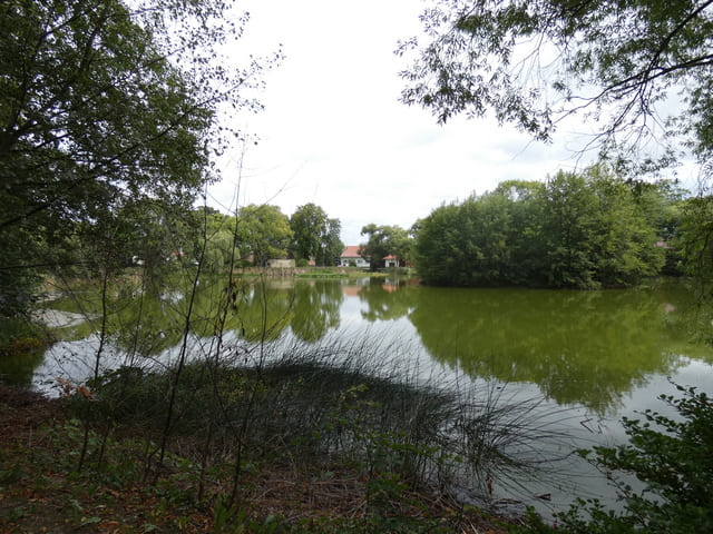 Dorfteich
