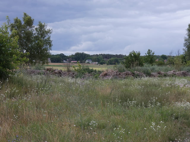 Blick auf Schönhagen