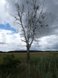 Am Wanderweg von Blankensee nach Schönhagen