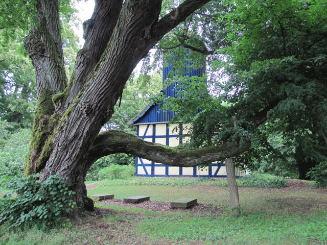 Alte Linde an der Kirche