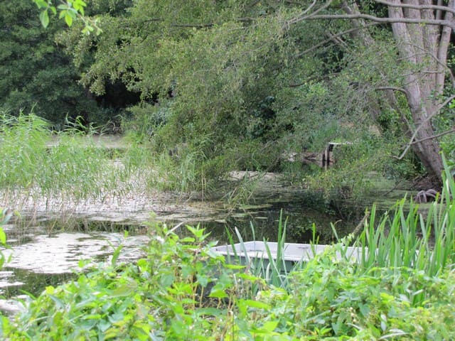 Mühlenteich an der Glambecker Mühle