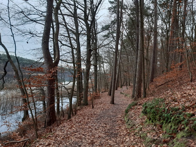 Rundweg um den Templiner Stadtsee