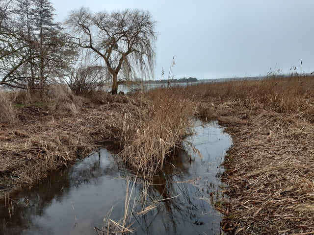 Am Mündesee