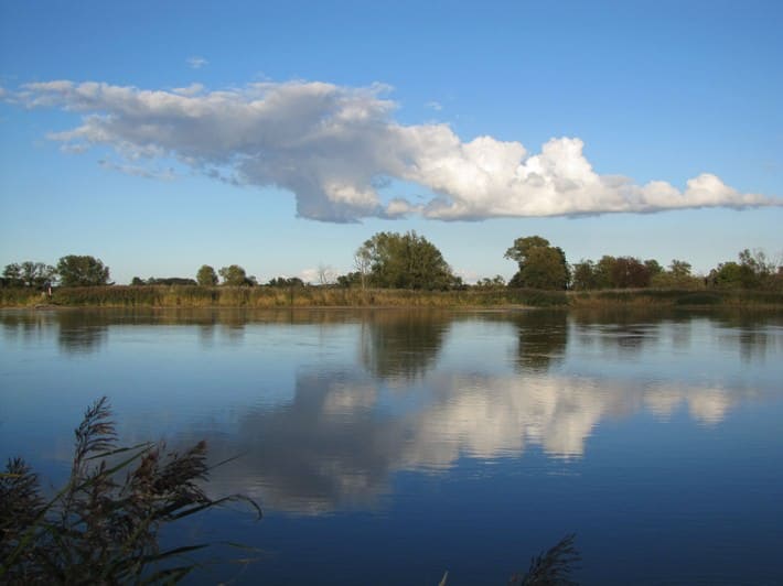 Oder bei Groß Neuendorf